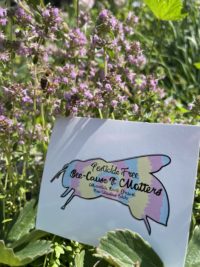 Flowers & Herbs